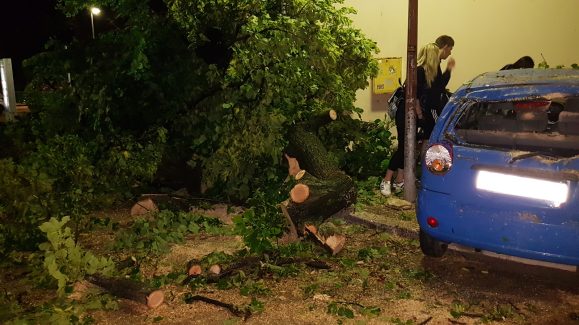 Steta od nevremena (2 of 8)