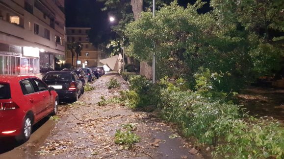 Steta od nevremena (5 of 8)