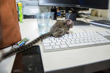 untitled (1 of 1)-11