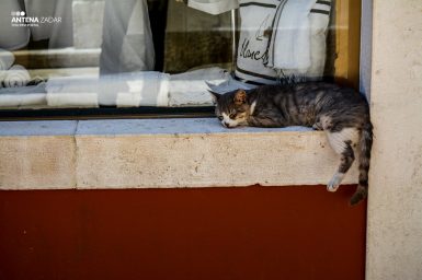 Ulicama moga grada (12 of 23)