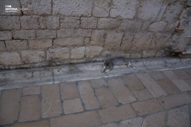 Ulicama moga grada (20 of 26)