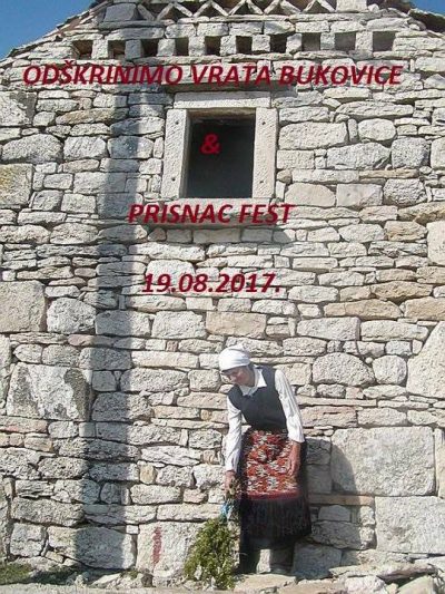 20479777_137746980153058_3498861230600416157_n