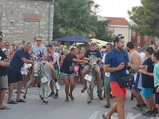 Utrka tovarov Fest Gospe od sniga_n