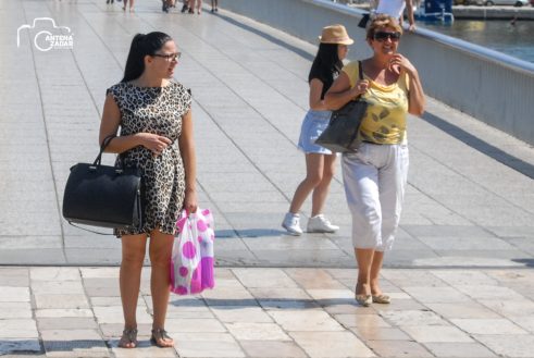 gradski djir (40 of 43)