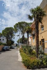 ulicama moga grada (12 of 29)