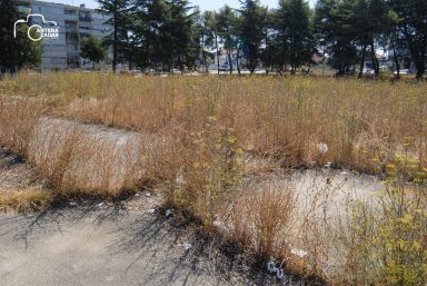 ulicama moga grada (19 of 31)