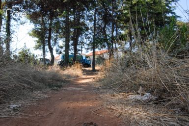 ulicama moga grada (21 of 31)