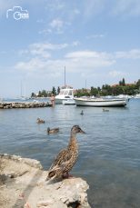 ulicama moga grada (24 of 29)