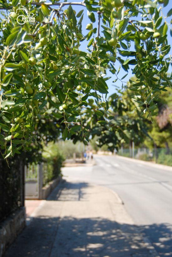 ulicama moga grada (27 of 31)