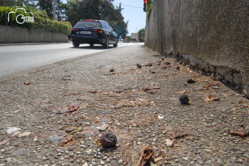 ulicama moga grada (4 of 29)