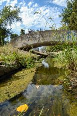 ulicama moga grada (7 of 29)