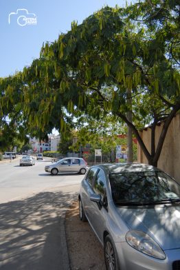 ulicama moga grada (7 of 31)