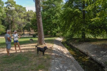 ulicama moga grada (8 of 29)