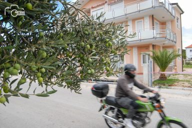 ulicama moga grada-25