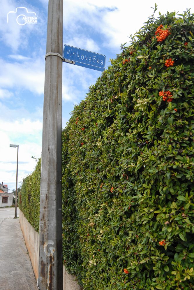 ulicama moga grada-26