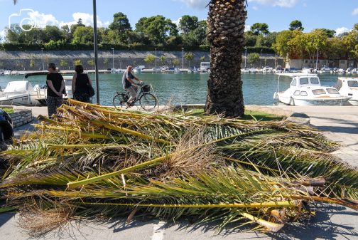 ulicama moga grada-31