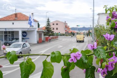 ulicama moga grada-32