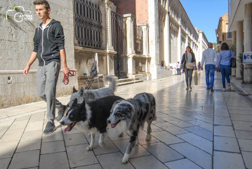 ulicama moga grada-9