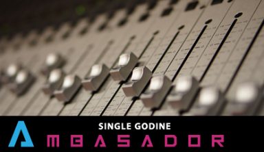 33-single-godine