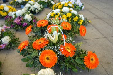 cvijece,svi sveti, dan mrtvih-10