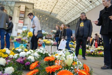 cvijece,svi sveti, dan mrtvih-11