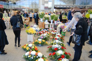 cvijece,svi sveti, dan mrtvih-12