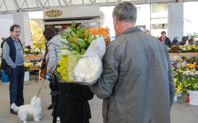 cvijece,svi sveti, dan mrtvih-15