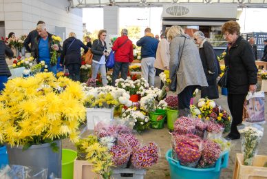 cvijece,svi sveti, dan mrtvih-16