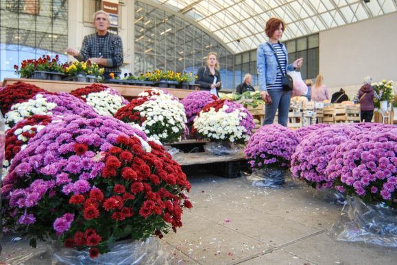 cvijece,svi sveti, dan mrtvih-22