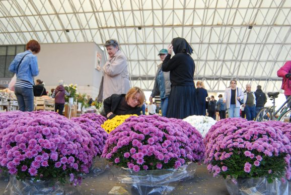 cvijece,svi sveti, dan mrtvih-23