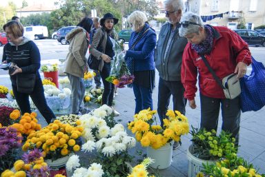 cvijece,svi sveti, dan mrtvih-4