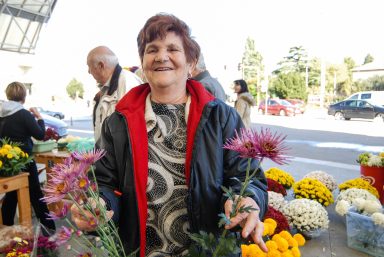 cvijece,svi sveti, dan mrtvih-5