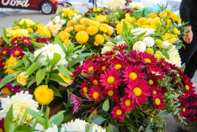 cvijece,svi sveti, dan mrtvih-8