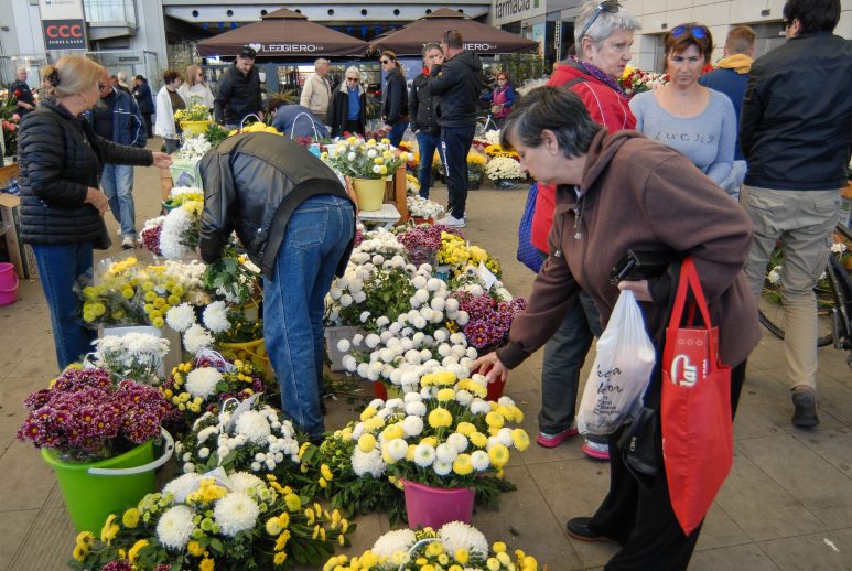 cvijece,svi sveti, dan mrtvih-9