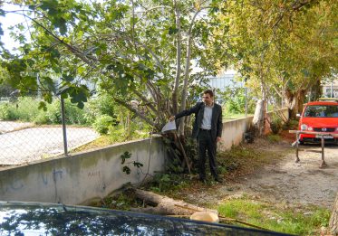 rociste ulica p. svacica-2