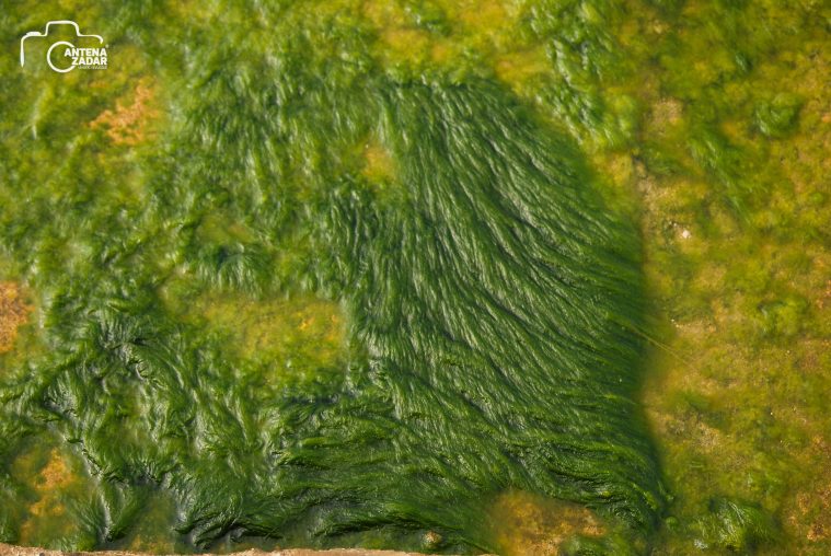 ulicama moga grada-10