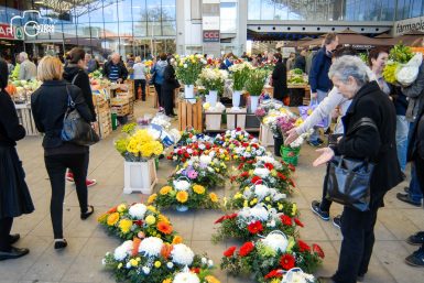 ulicama moga grada-10