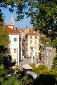 ulicama moga grada-10