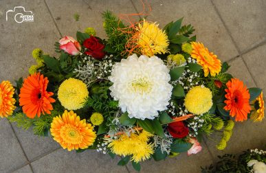 ulicama moga grada-11