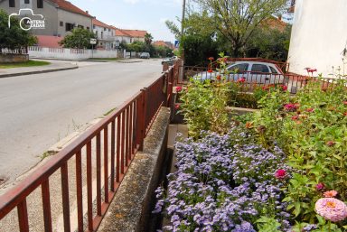 ulicama moga grada-11