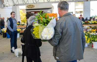 ulicama moga grada-13