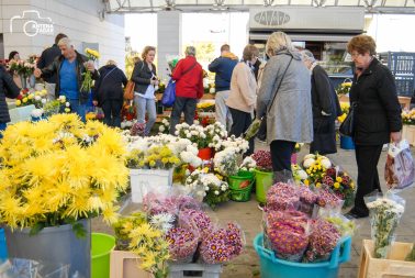 ulicama moga grada-14