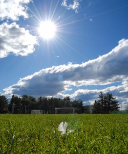 ulicama moga grada-15