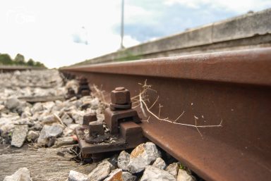 ulicama moga grada-16