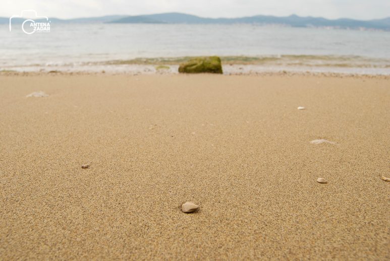 ulicama moga grada-17