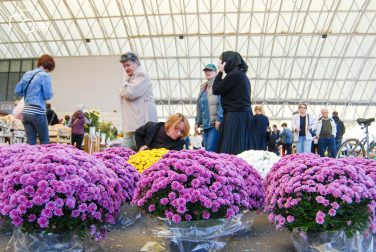 ulicama moga grada-19