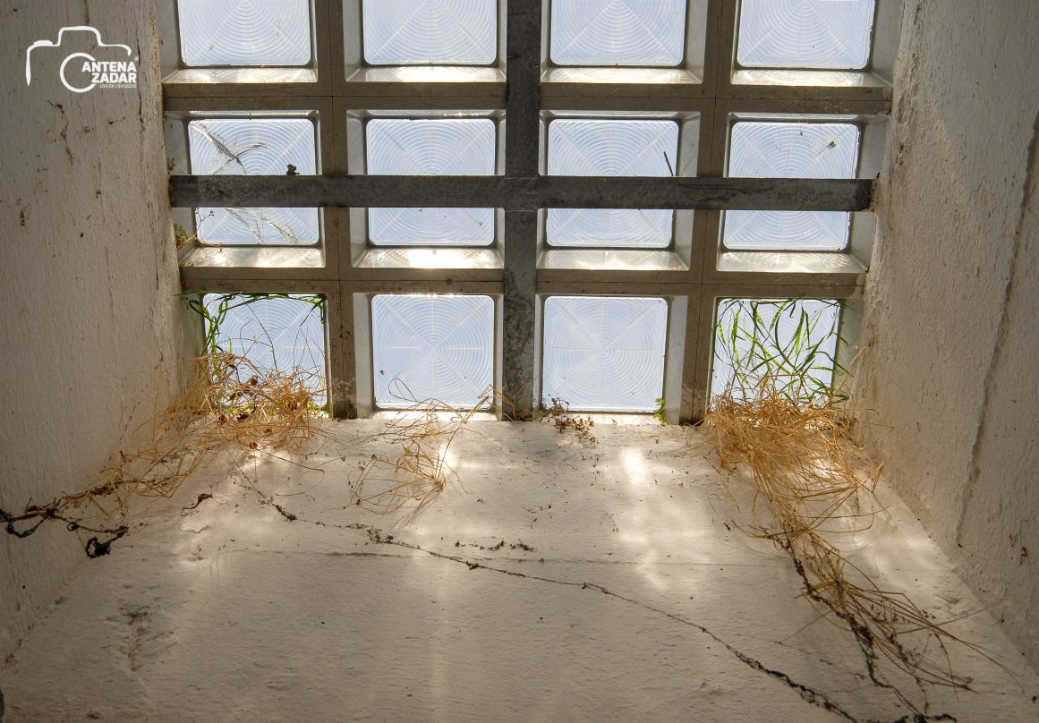 ulicama moga grada-2