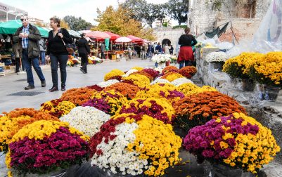 ulicama moga grada-20