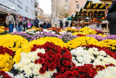 ulicama moga grada-21