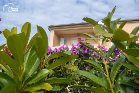 ulicama moga grada-21